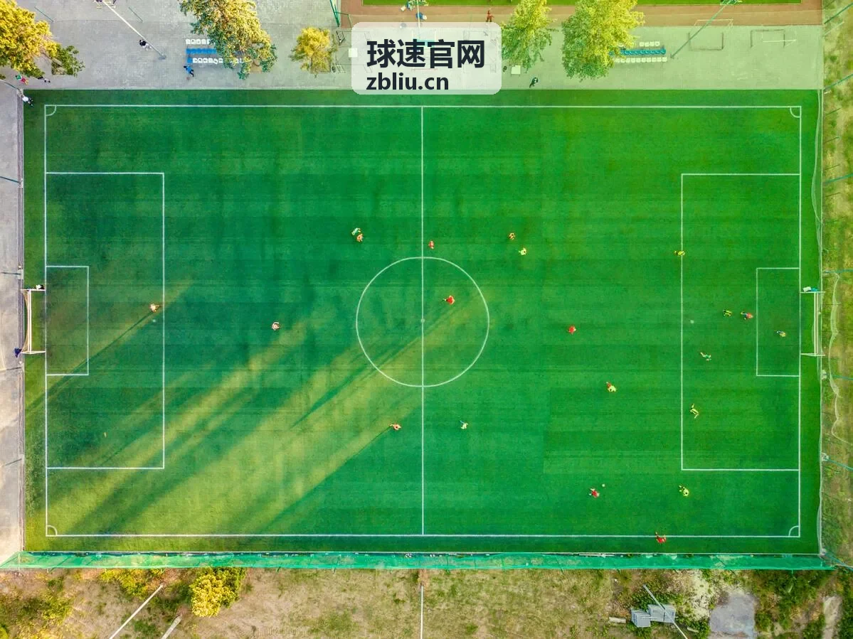 球速官网教练用户反馈头像